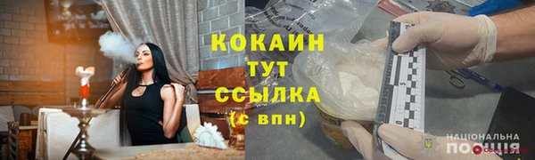 Альфа ПВП Гусев