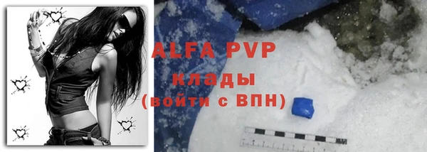 Альфа ПВП Гусев