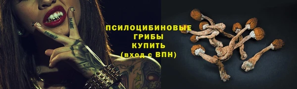 мескалин Гусь-Хрустальный