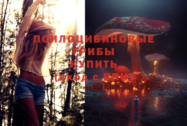СК Снежногорск