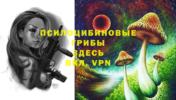 мяу мяу кристалл Гусиноозёрск