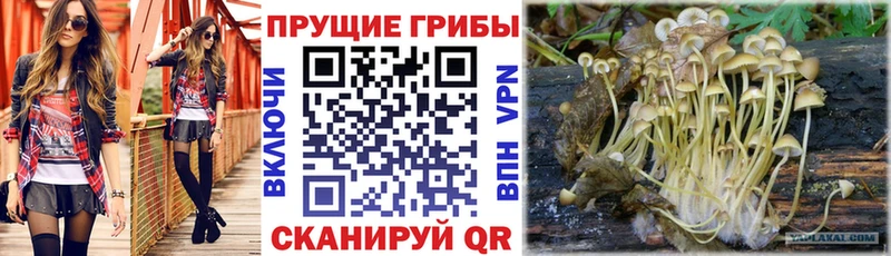 Галлюциногенные грибы MAGIC MUSHROOMS  Ильский 